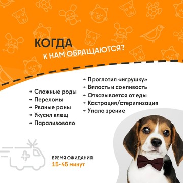 Ветеринарная служба ВетСкорая24 на улице Академика Грушина фото 2