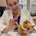 Фотография специалиста Малышева Юлия Евгеньевна