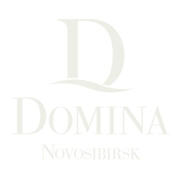Отель Domina Novosibirsk на Площади Гарина-Михайловского фото 1