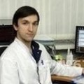 Фотография специалиста Сорокин Алексей Александрович