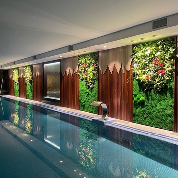 Инфлор фото 3