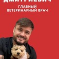 Фотография специалиста Незальзов Дмитрий Дмитриевич
