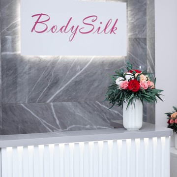 Центр лазерной эпиляции BODY SILK на улице Алексеева фото 3