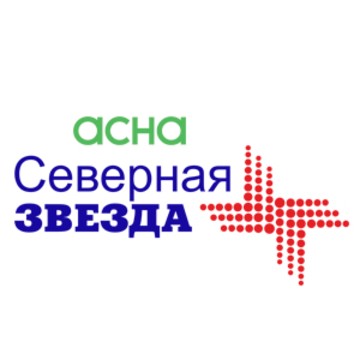 АСНА - Северная Звезда в 1-м Павловском переулке фото 1