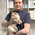 Фотография специалиста Николаев Антон Геннадьевич