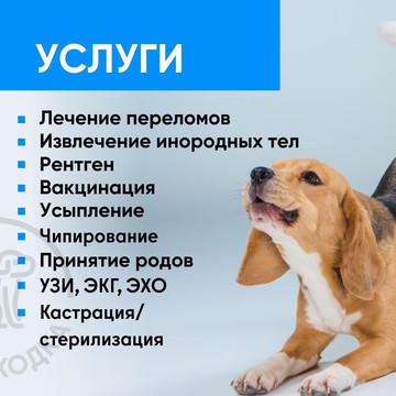 Ветеринарная служба Ветнаходка в переулке Ломоносова фото 2