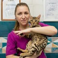 Фотография специалиста Садреева Наталья Равильевна