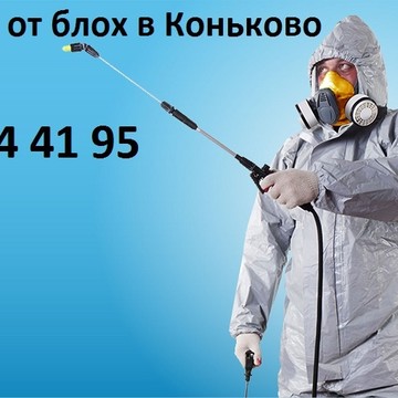Обработка от блох в Коньково на Профсоюзной улице фото 1