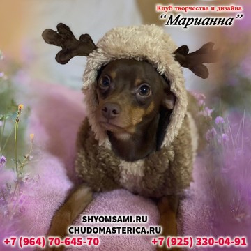 Курсы дизайна Марианна фото 1