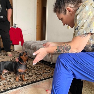 Ветеринарный центр Белый Бим на Короткой улице во Всеволожске фото 2