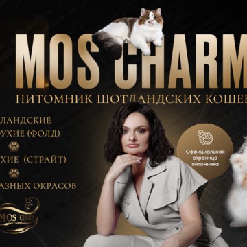Питомник кошек Mos Charm (Мос Шарм) фото 2