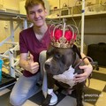 Фотография специалиста Серов Михаил Александрович