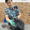 Фотография специалиста Брисюк Ксения Геннадиевна