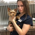 Фотография специалиста Кириллова Екатерина Аркадьевна