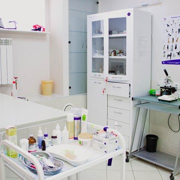 Ветеринарная клиника Здоровые лапки на Богатырском проспекте фото 2