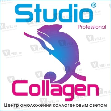 Studio Collagen - Профессиональный Центр омоложения коллагеновым светом. Коллагенарий! Коллариум! Беллариум! фото 2