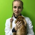 Фотография специалиста Пыркина Елизавета Анатольевна