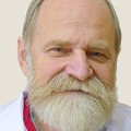 Фотография специалиста Толмачев Роман Александрович