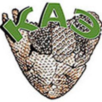 Костромская археологическая экспедиция фото 1