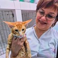 Фотография специалиста Абрамова Ольга Викторовна