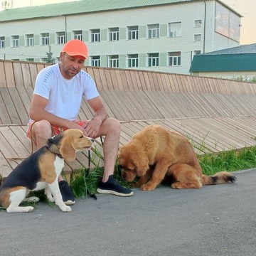 Akita Dog School фото 2