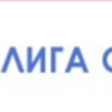 Лига Сварки фото 1