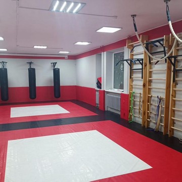 Смешанные Единоборства фото 1