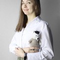 Фотография специалиста Волкова Дарья Александровна