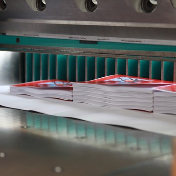 Спринт пресс фото 3