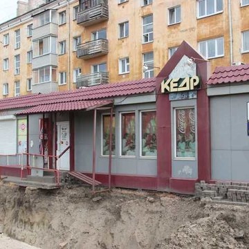 Кедр в Кировском районе фото 2