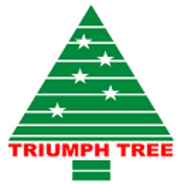 Triumph-elki.ru фото 1