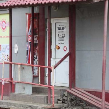 Кедр в Кировском районе фото 1