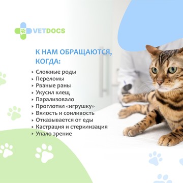 Ветеринарная клиника Vetdocs на улице Академика Грушина, 4 в Химках фото 2
