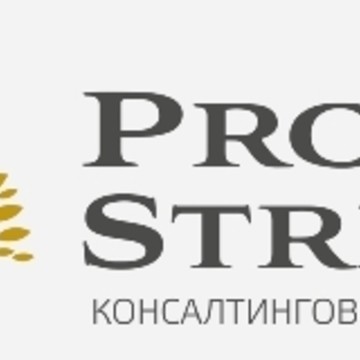 консалтинговая компания Профитстрим фото 1