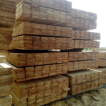 Компания Angara Les Export фото 1