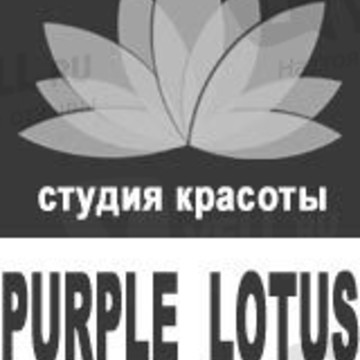 Пурпурный лотос фото 2