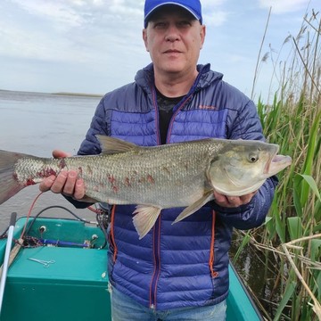 База отдыха Рыбацкий стан фото 3