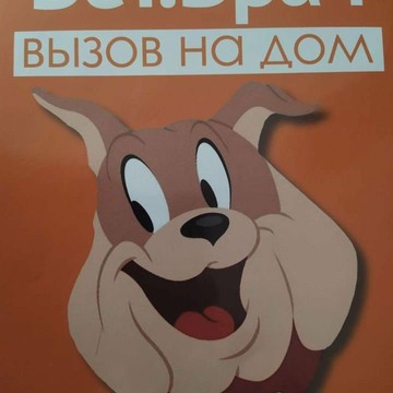 Веринар вызов на дом. фото 1