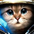 Фотография специалиста Шустикова Татьяна Владимировна