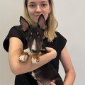 Фотография специалиста Кольцова Оксана Алексеевна