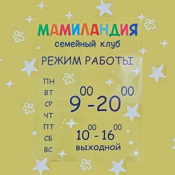 Семейный клуб Мамиландия фото 2