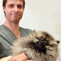 Фотография специалиста Сыругин Иван Олегович