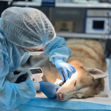 Ветеринарная клиника Зоомедик на улице Борисовские Пруды фото 3