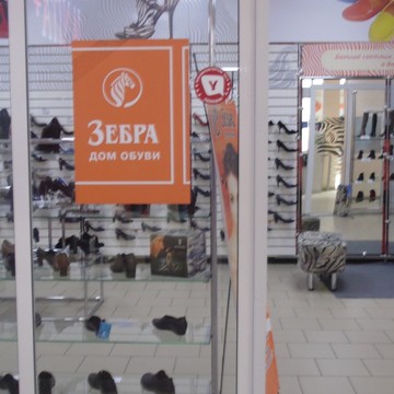 Зебра на улице Карла Маркса фото 1