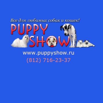 Puppy show фото 2