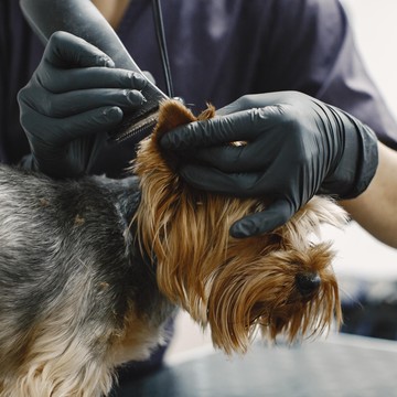 Зооцентр Зоофитнес Тим на Большой Марфинской улице фото 2