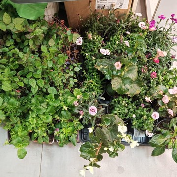 Магазин цветов Букет на удачу фото 3