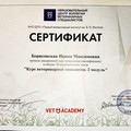 Фотография специалиста Борисовская Ирина Максимовна