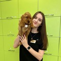 Фотография специалиста Пичугина Софико Георгиевна
