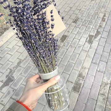 Компания Цветология на Славянском бульваре фото 2